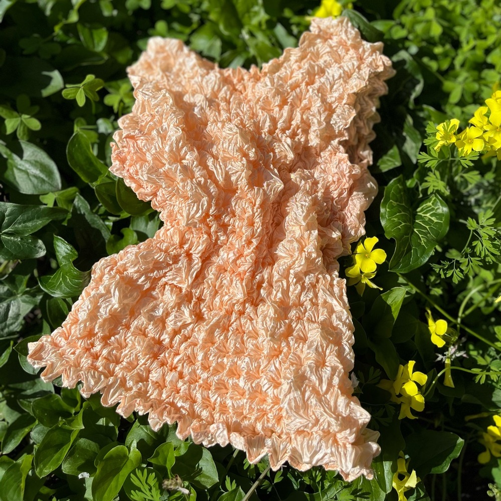 Vintage Popcorn Tank